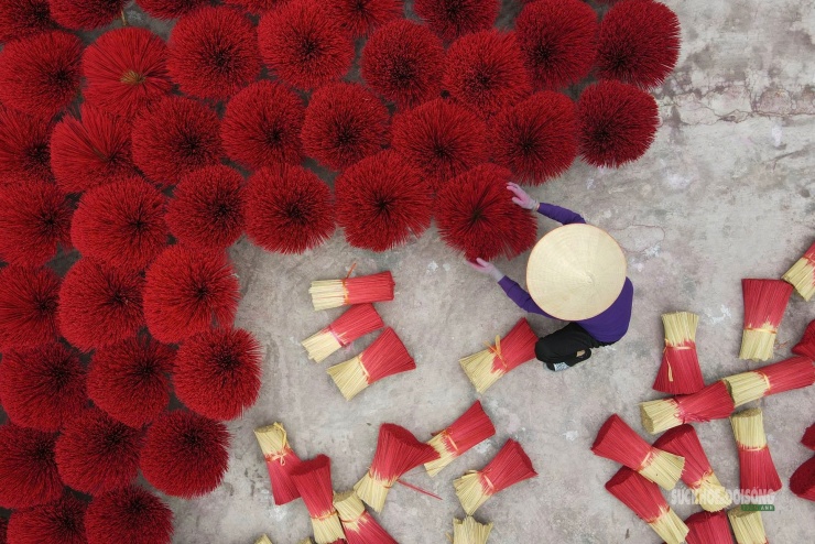 Những bó chân hương đỏ thắm được xếp tròn, phơi nắng trên sân làng, tạo nên khung cảnh rực rỡ đặc trưng mỗi dịp cuối năm.