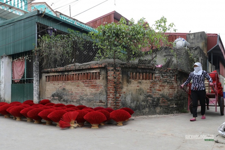 Hương phơi kín ngõ xóm, biến những con đường làng thành "bức tranh Tết" đầy màu sắc.