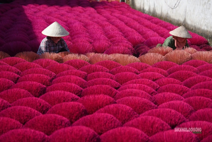 Từng nén hương hoàn thiện là kết tinh của nhiều công đoạn thủ công, chứa đựng tâm huyết của người thợ làng nghề trăm năm tuổi.