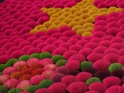 Sắc Tết rực rỡ tại làng hương Quảng Phú Cầu