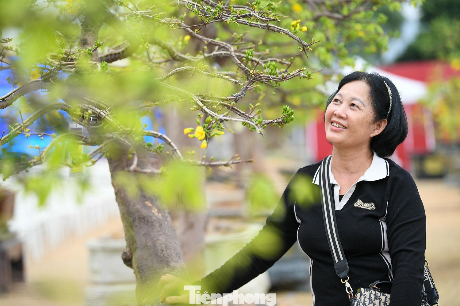 Không dừng lại ở giá trị kinh tế, mai vàng Yên Tử còn mang giá trị biểu trưng gắn với vùng đất Phật Yên Tử - nơi đề cao sự an nhiên, bền bỉ và tĩnh tại. Chính yếu tố này khiến nhiều người chơi sẵn sàng bỏ ra số tiền lớn để sở hữu những gốc mai cổ thụ, coi đó là sự kết hợp giữa nghệ thuật, văn hóa và giá trị vật chất.