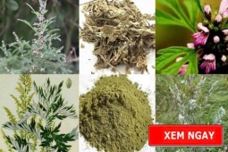 Tin tức sức khỏe - Học người Nhật bí quyết giảm đau xương khớp được truyền qua hàng trăm năm