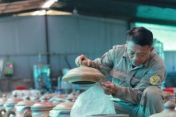 Anh nông dân Hà Tĩnh làm giàu nhờ mô hình 'dưới trồng cây, trên điện mặt trời'