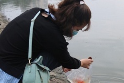 Những sai lầm khi thả cá chép tiễn Táo quân nhiều người mắc phải