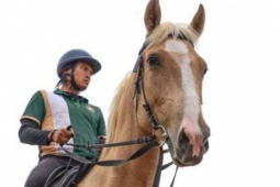 Mục sở thị nơi chăm sóc những chú ngựa triệu đô ở Hải Phòng