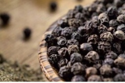 Vì sao hạt tiêu đen được xem là “vị thuốc” trong gian bếp Việt?