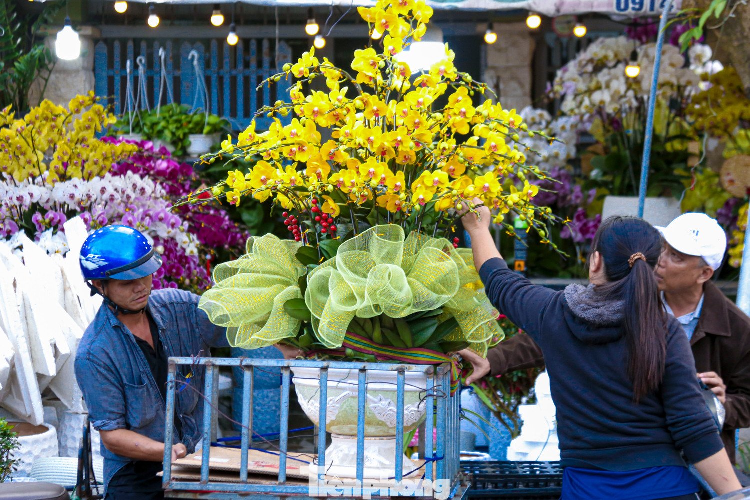 Nghề chở cây thuê ngày Tết - 6
