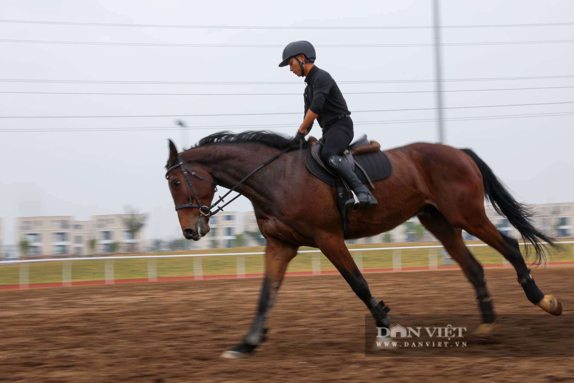 Tại đây có khu cưỡi ngựa địa hình băng đồng thử thách và đặc sắc bên cạnh sân đa năng biểu diễn ngựa rộng gần 1 hecta. Cùng với đó là đường đua ngựa giải trí.
