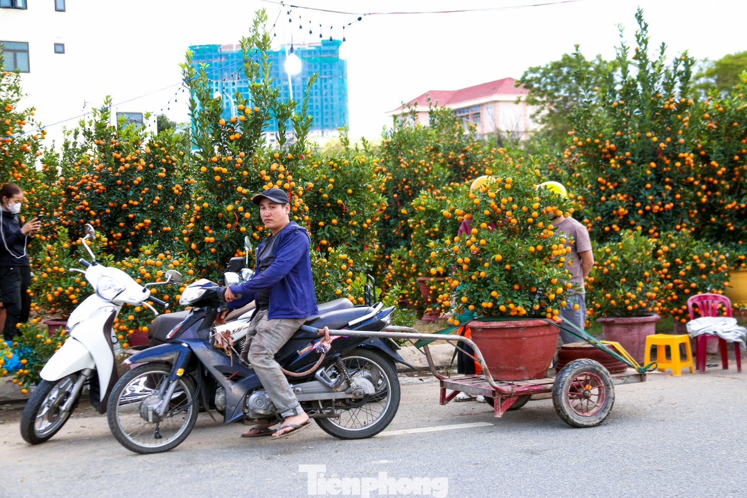 Nghề chở cây thuê ngày Tết - 9