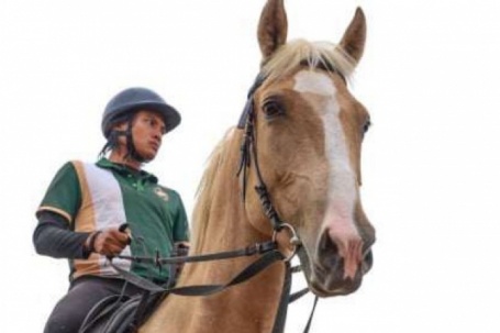 Mục sở thị nơi chăm sóc những chú ngựa triệu đô ở Hải Phòng