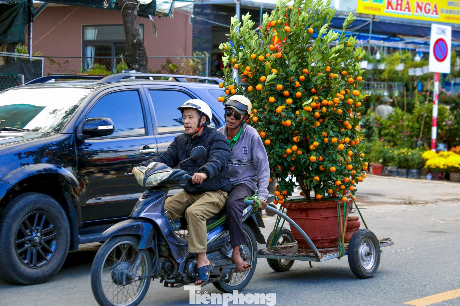 Nghề chở cây thuê ngày Tết - 10