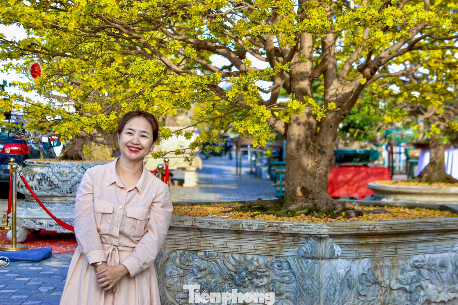 Nhiều người dừng chân chụp ảnh, check-in cùng những gốc mai trưng bày.