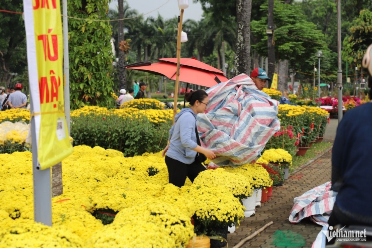 Tiểu thương phải canh mưa để che bạt cho hoa tại công viên Gia Định. Ảnh: TK