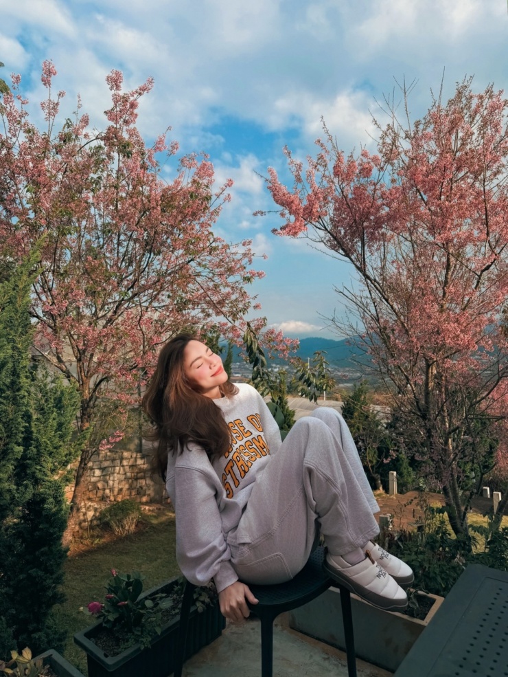 Sao Việt bắt trend check in mai anh đào Đà Lạt - 1