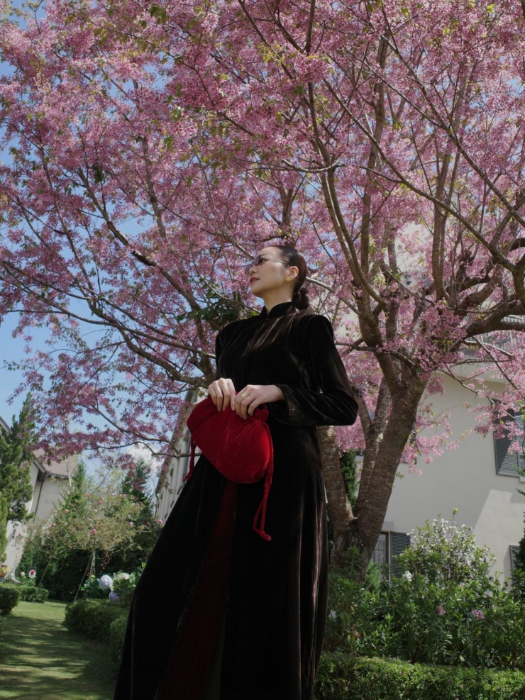 Sao Việt bắt trend check in mai anh đào Đà Lạt - 4