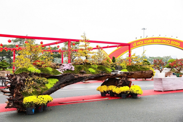 Cận Tết Bính Ngọ 2026, thị trường cây cảnh Hà Nội bước vào đợt cao điểm. Dọc các tuyến phố Lạc Long Quân, Lê Văn Lương hay khu vực Mỹ Đình, hoa và cây cảnh ngập tràn với mức giá đa dạng, từ vài triệu đến hàng trăm triệu đồng.