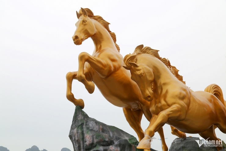 Linh vật với cơ bắp cuồn cuộn, mỗi con nặng khoảng 400kg. Ảnh: Phạm Công