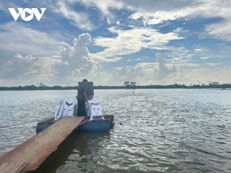 Diện tích nuôi cá rô phi trên địa bàn Hải Phòng (gồm Hải Dương trước đây) khoảng 5.000 ha