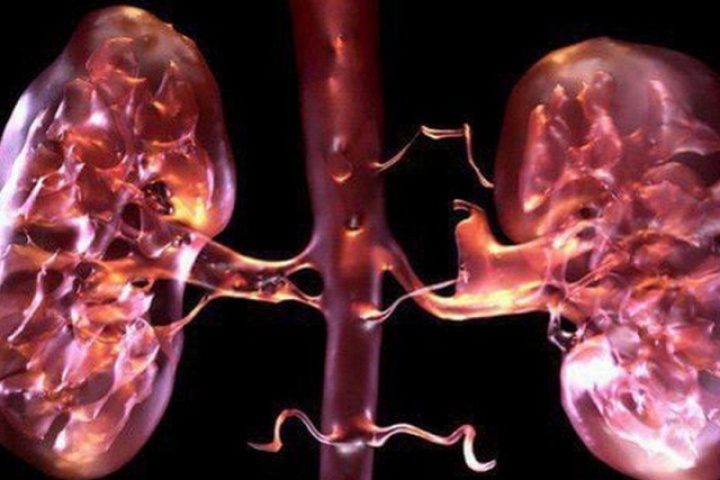 4 nguyên nhân làm tăng nguy cơ suy thận trong mùa lạnh, người Việt cần biết để tránh mắc bệnh