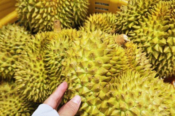 Quy định mới về xuất khẩu nông sản vào Trung Quốc