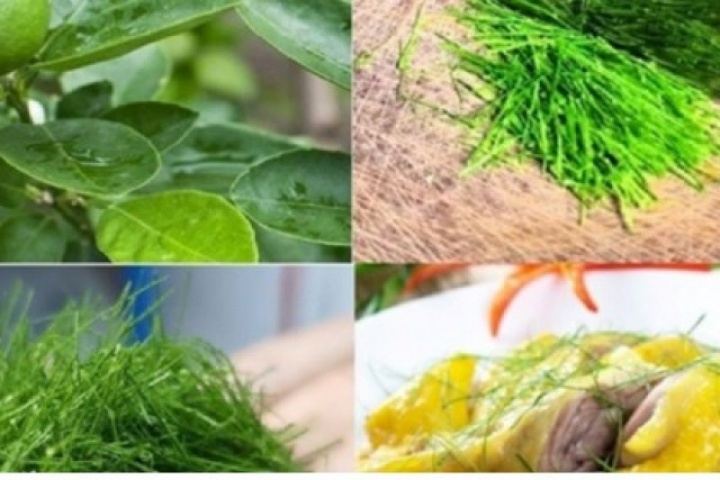 Việt Nam có lá gia vị không thể thiếu trong mâm cỗ Tết, tốt chẳng kém "thuốc bổ"