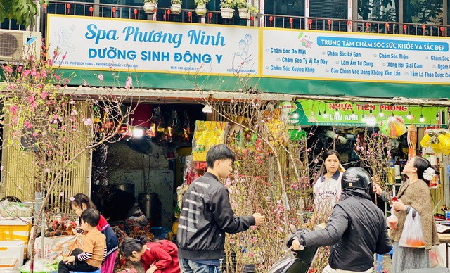 Cành đào nhỏ được nhiều người dân lựa chọn bởi giá cả hợp lý, phần còn lại phù hợp với diện tích, không gian của ngôi nhà.