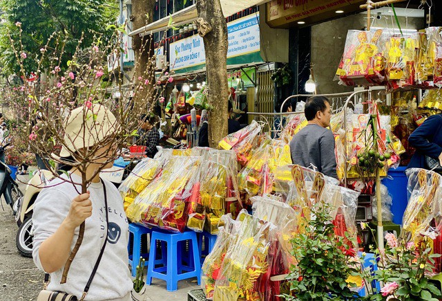 Hoa đào là một trong những loại hoa không thể thiếu trong những ngày Tết đến, Xuân về.