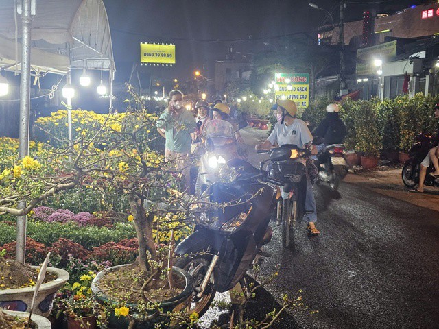 Hoa Tết giá rẻ 50.000 - 100.000 đồng/chậu cháy hàng - 3