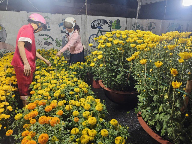 Khách mua hoa Tết