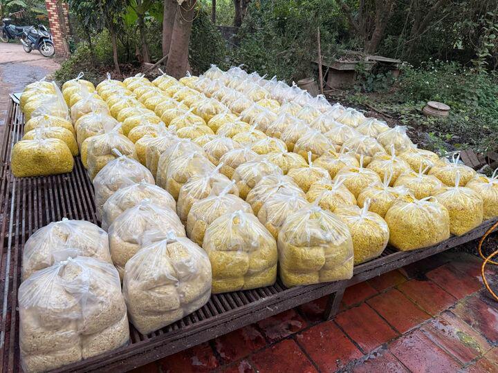 Riềng xay thành phẩm được trộn chất tẩy đường và chất Vàng O bị thu giữ. (Ảnh: Công an Bắc Ninh).