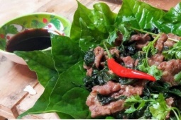 Tin tức sức khỏe - 4 sai lầm “tai hại” mà người đau nhức xương khớp dễ mắc phải khiến cơ bắp teo nhão, đau nhức dai dẳng