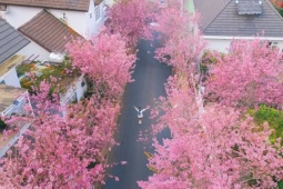 4 địa điểm du xuân 'vui quên lối về' ở miền Trung dịp tết Bính Ngọ 2026