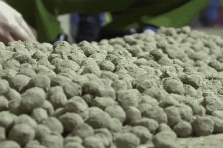 Đường dây làm giả  ' thuốc đông y cổ truyền '  từ bột ngô, thuốc tây