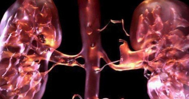 4 nguyên nhân làm tăng nguy cơ suy thận trong mùa lạnh, người Việt cần biết để tránh mắc bệnh