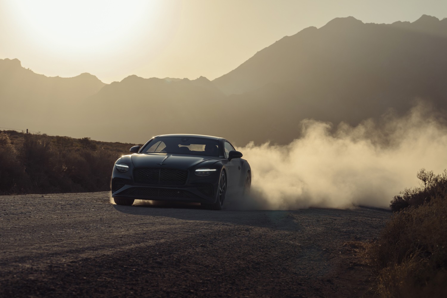 Blackline Specification làm nổi bật cản trước dưới màu tối với lưới tản nhiệt matrix bóng đen.