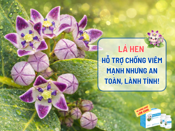Cẩn thận! 3 thói quen ngày Tết đang “tàn phá” lá phổi, khiến nhiều người phải nhập viện vì suy hô hấp - 4