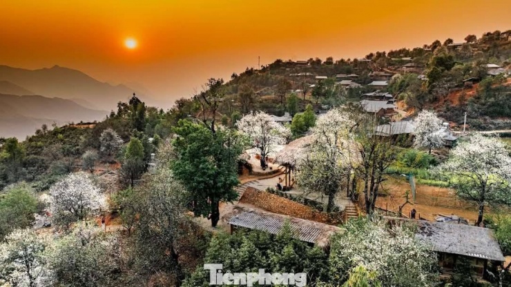 Bước chân đến bản Nậm Nghẹp vào mùa hoa sơn tra nở, cảm giác đầu tiên là sự tĩnh lặng. Không ồn ào, không xô bồ, chỉ có gió núi lồng lộng, mây trôi là là trước mặt và những triền đồi phủ trắng hoa sơn tra trải dài bất tận.