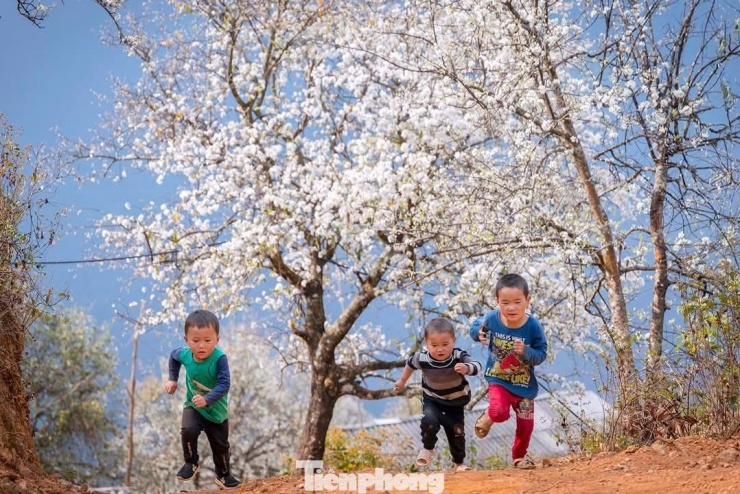 Chị Nguyễn Hoài Thương - du khách đến từ Quảng Ninh - cho biết, những bức ảnh hoa sơn tra trắng rừng Nậm Nghẹp đã thôi thúc chị lên đường. “Hơn 500km di chuyển, có đoạn đường rất khó đi, nhưng khi đặt chân đến đây, tôi thực sự choáng ngợp. Hoa nở đúng mùa, cảnh sắc đẹp đến mê lòng người, bà con thì nồng hậu, mến khách”, chị Thương chia sẻ.