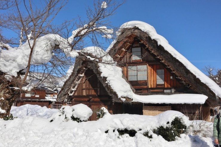 Phương Linh 'nghỉ Tết sớm' ở làng cổ Shirakawa-go - 4