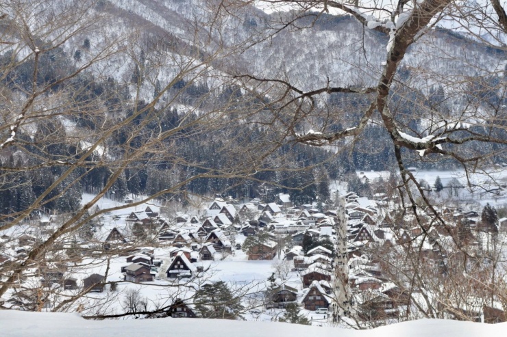 Phương Linh 'nghỉ Tết sớm' ở làng cổ Shirakawa-go - 6