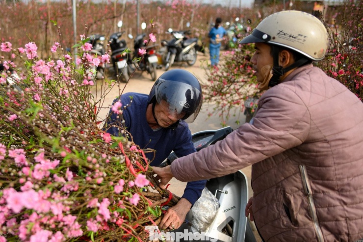 24 tháng Chạp: Đào nở sớm, khách thưa thớt, làng Nhật Tân như... mất Tết - 9
