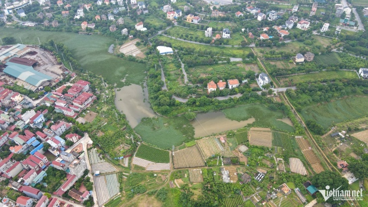 Ảnh minh hoạ: Thạch Thảo