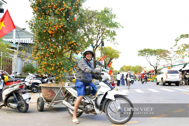 Nghề chở cây thuê giúp nhiều gia đình có thêm khoản trang trải dịp cuối năm. Ảnh: D.B