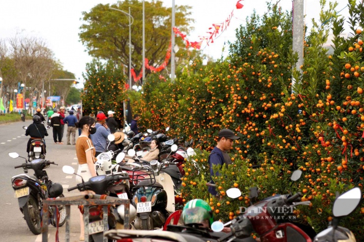 Các tuyến đường tại Đà Nẵng nhộn nhịp sắc hoa. Ảnh: D.B