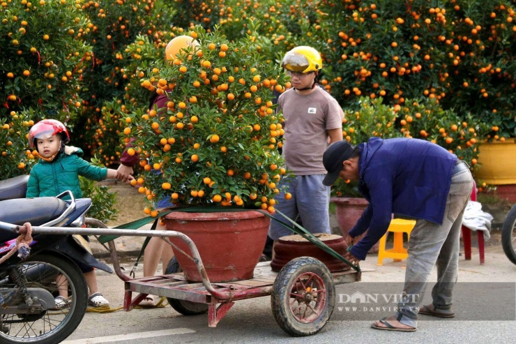 Nhu cầu thuê vận chuyển tăng mạnh vào những ngày cuối năm. Ảnh: D.B