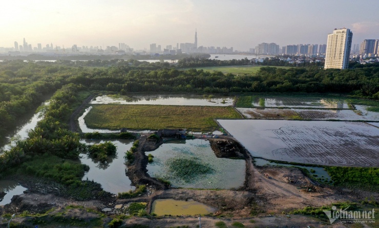 Ảnh minh hoạ: Anh Phương