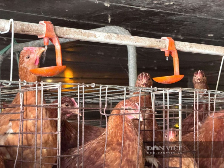 Từ cân bằng nhiệt độ đến ăn, uống đều tự động. Ảnh: Hồng Cẩm