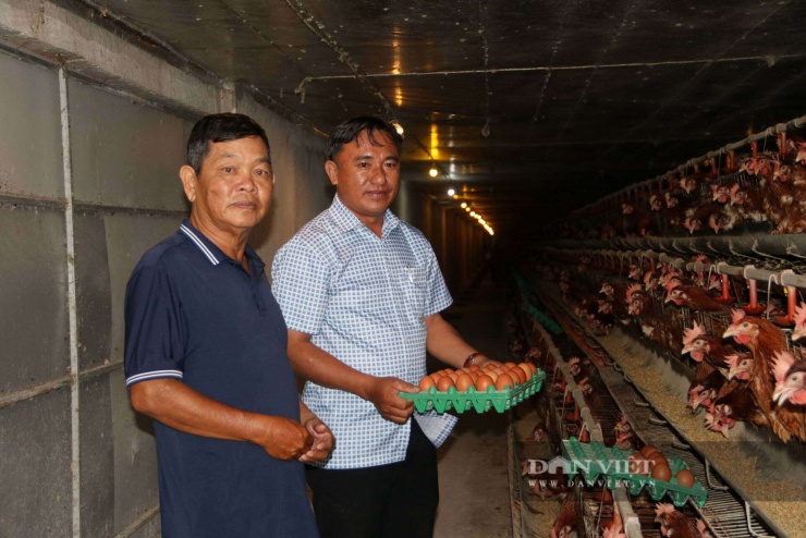 Mỗi ngày sau khi trừ hết chi phí cám bã, điện nước, nhân công… ông Bình thu lãi ròng khoảng 25 triệu đồng. Ảnh: Hồng Cẩm