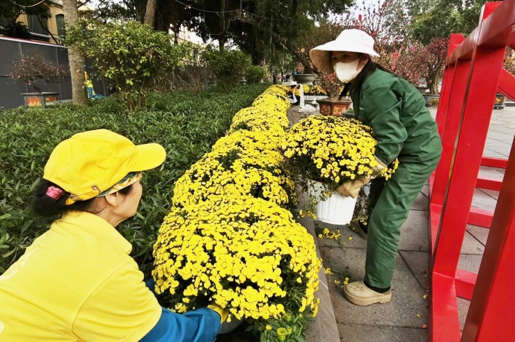 Bên cạnh khu vực triển lãm đào quất, không gian hoa xuân Lý Thái Tổ còn có sự hội ngộ của những loài hoa truyền thống như: thược dược, violet, cúc vạn thọ, cúc mâm xôi, hoa xác pháo…