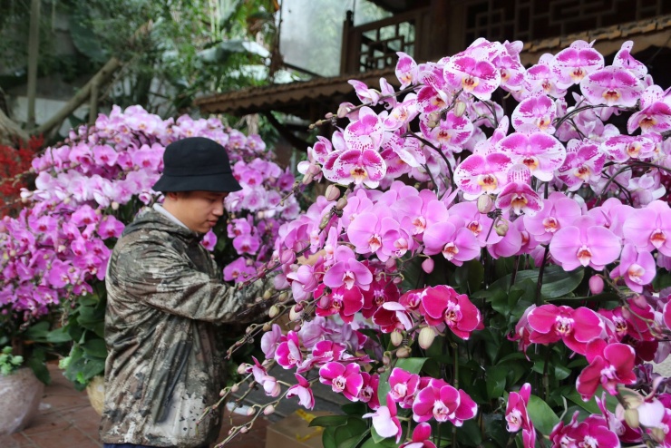 'Hái ra tiền' nghề cắm hoa Tết, cao điểm thu 4-5 triệu đồng/ngày - 5